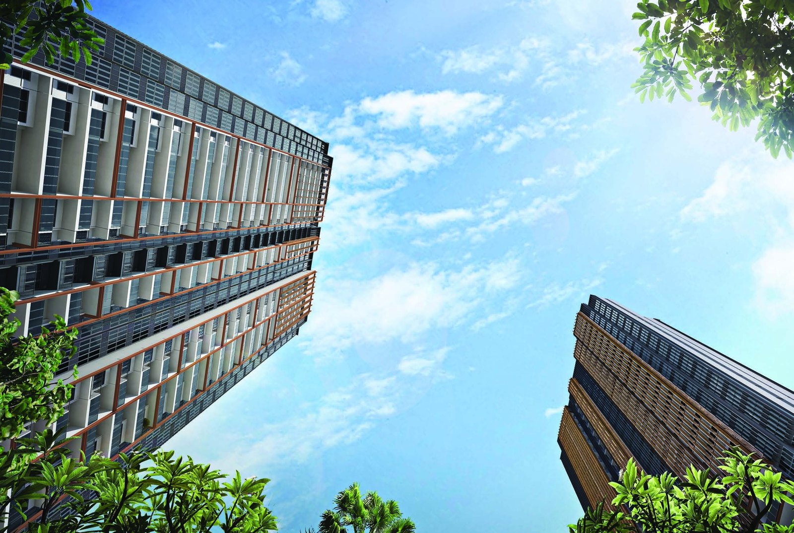 Midwood towers (artist’s impression)
