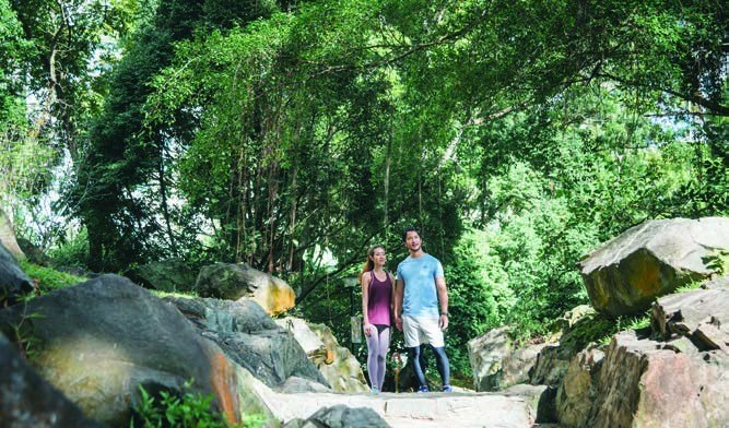 Nature trail near Midwood